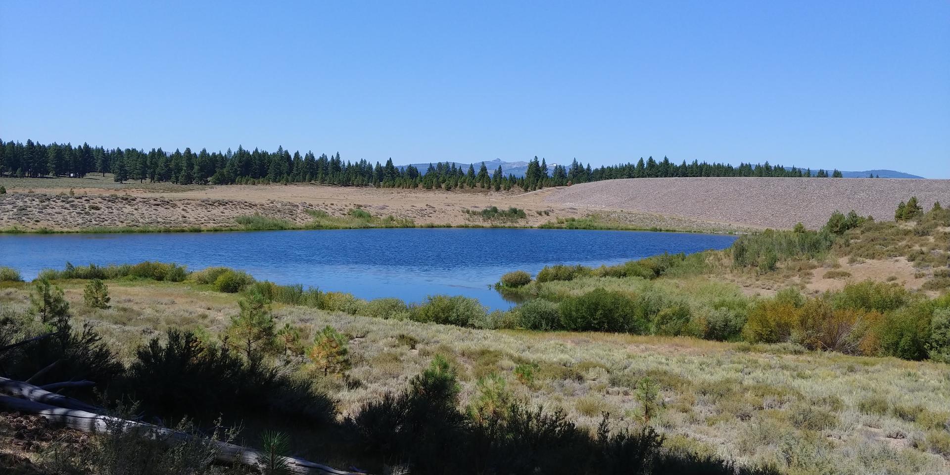 A serene blue lake surrounded by dry grass and distant pine trees.