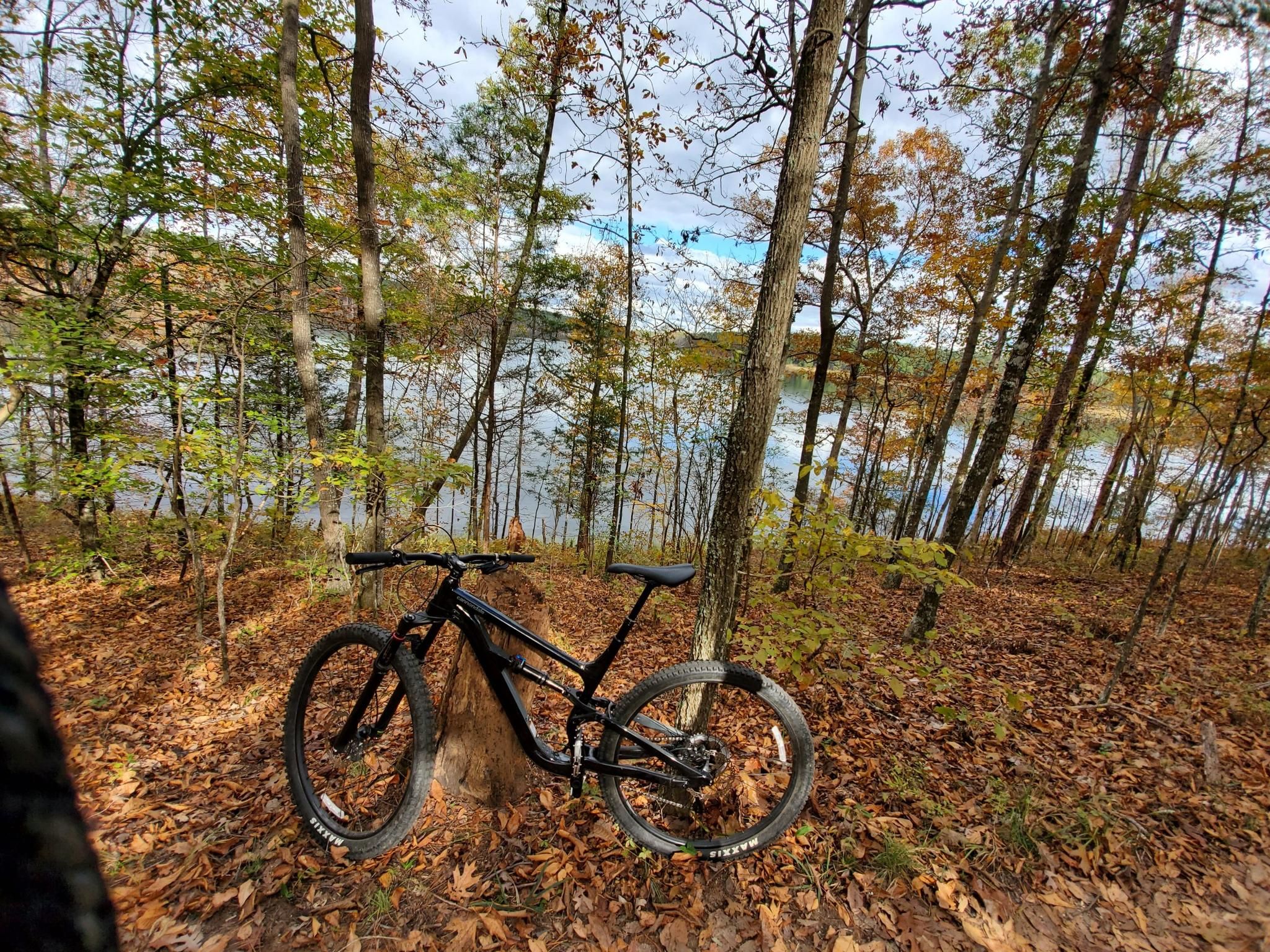 Mountain bike parked in autumn woods overlooking a lake under an overcast sky. - Beaver Dam Creek South Loop