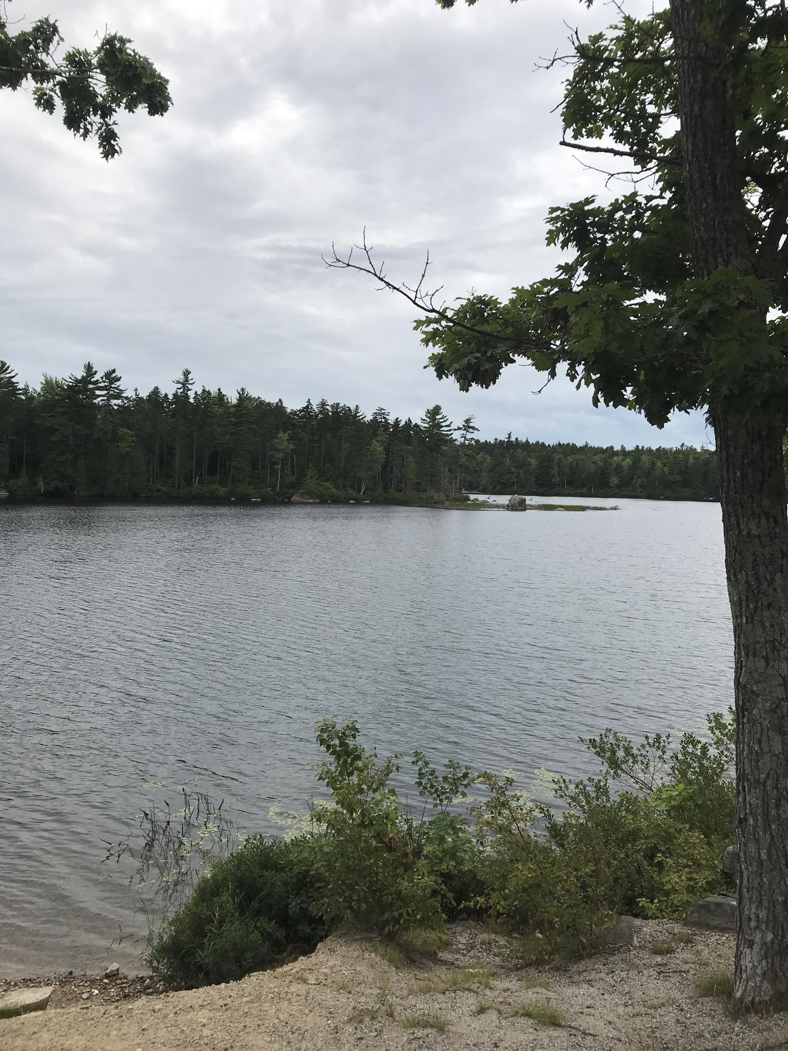 Calm lake surrounded by dense forest under an overcast sky.