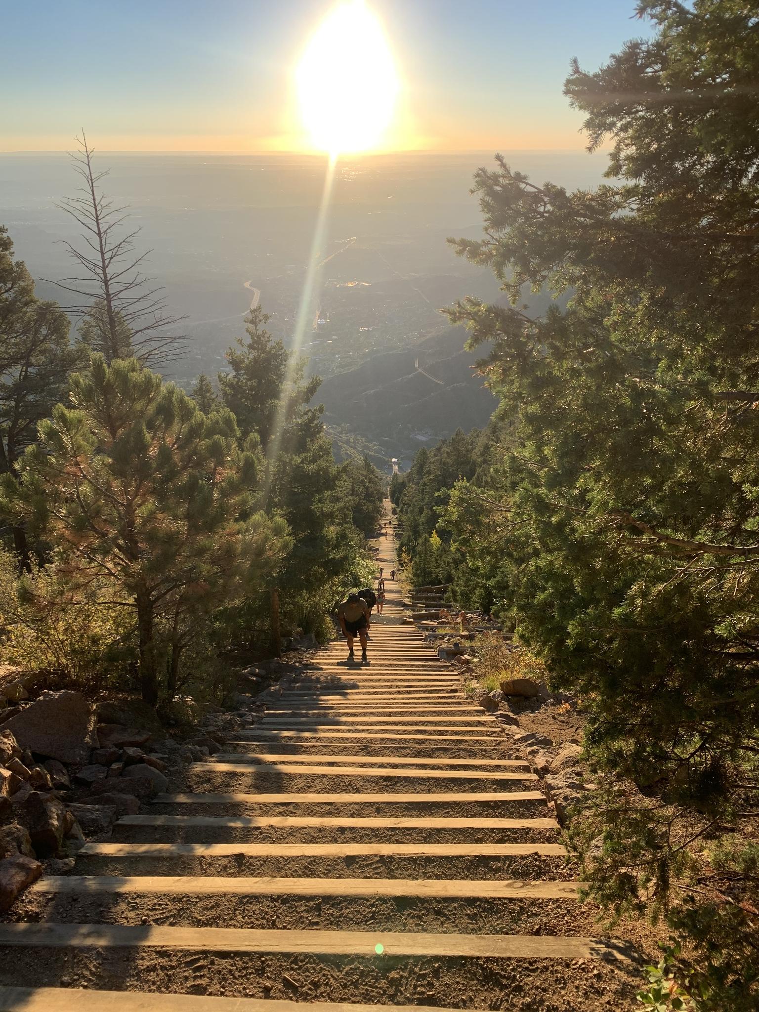 A dog on a long, steep wooden staircase with a bright sunrise.