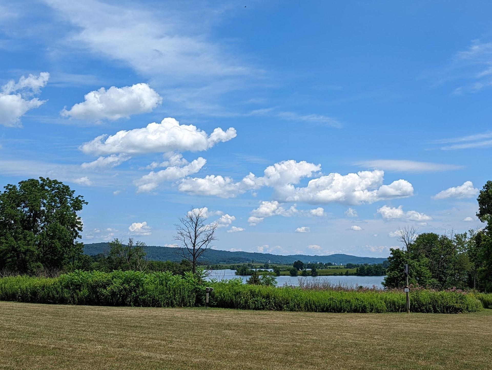 Bright day over a lake with distant hills, green trees, and a grassy field.