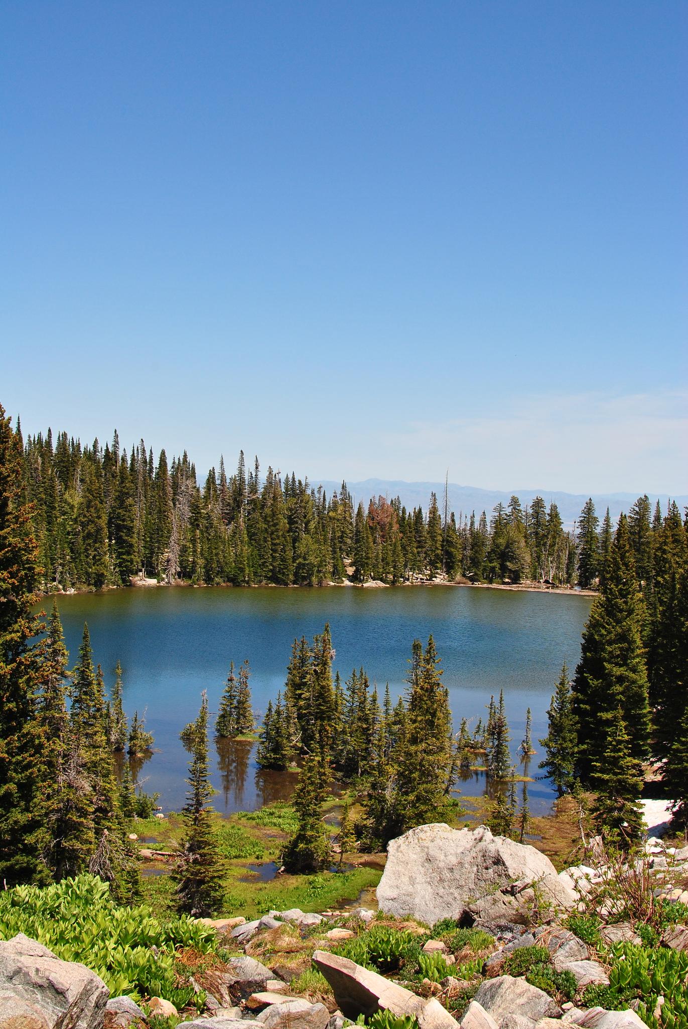A serene mountain lake surrounded by dense evergreen trees under a clear blue sky.