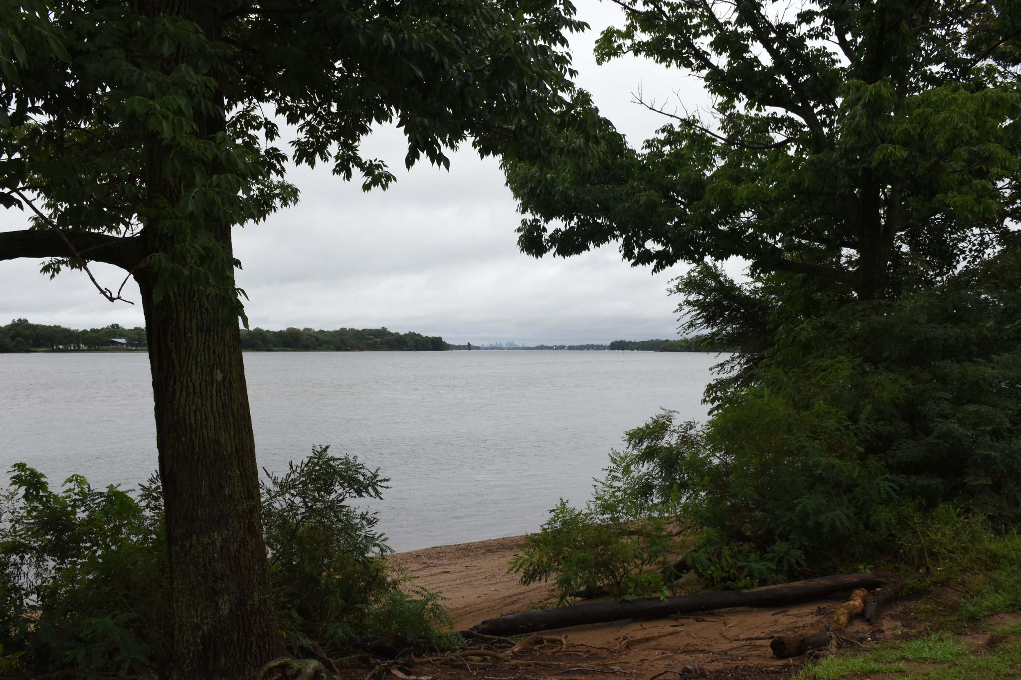 Overcast lake view framed by dark trees and a sandy bank. - River Walk Loop