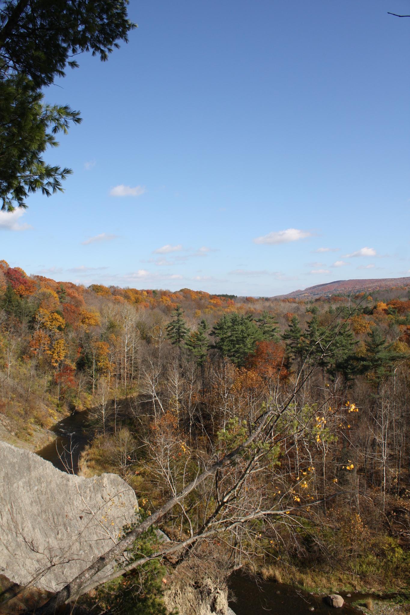 Panoramic view of an autumn forest valley from a rocky cliff.
