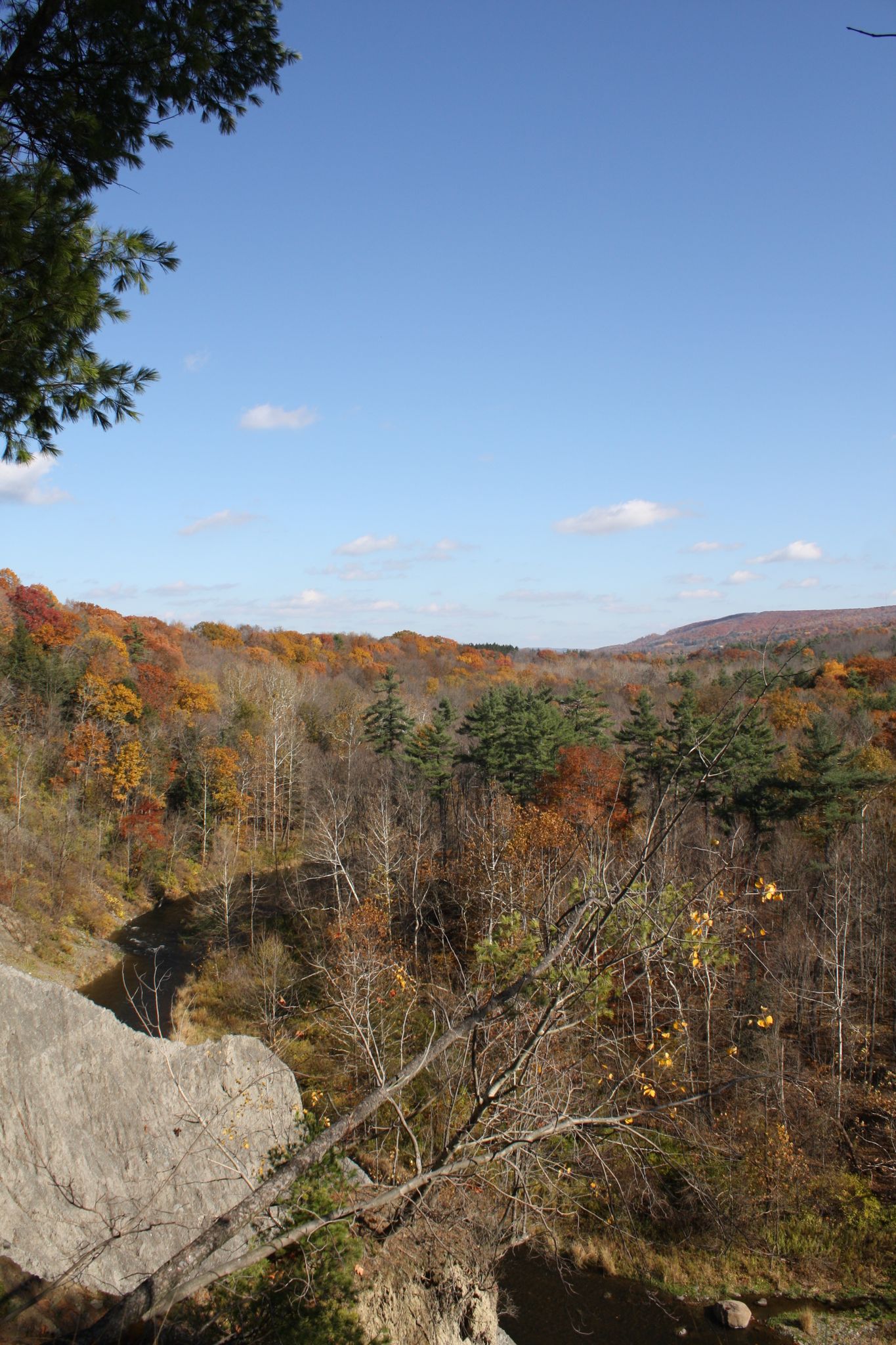 Panoramic view of an autumn forest valley from a rocky cliff. - Running loop from Varna