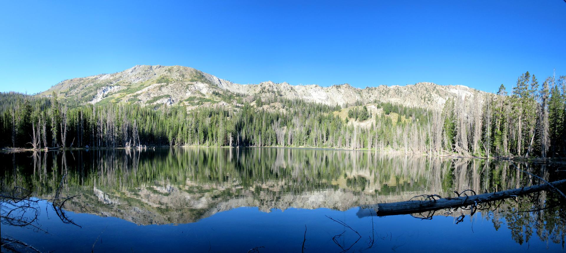 Panoramic view of a calm lake perfectly reflecting forested mountains under blue sky.