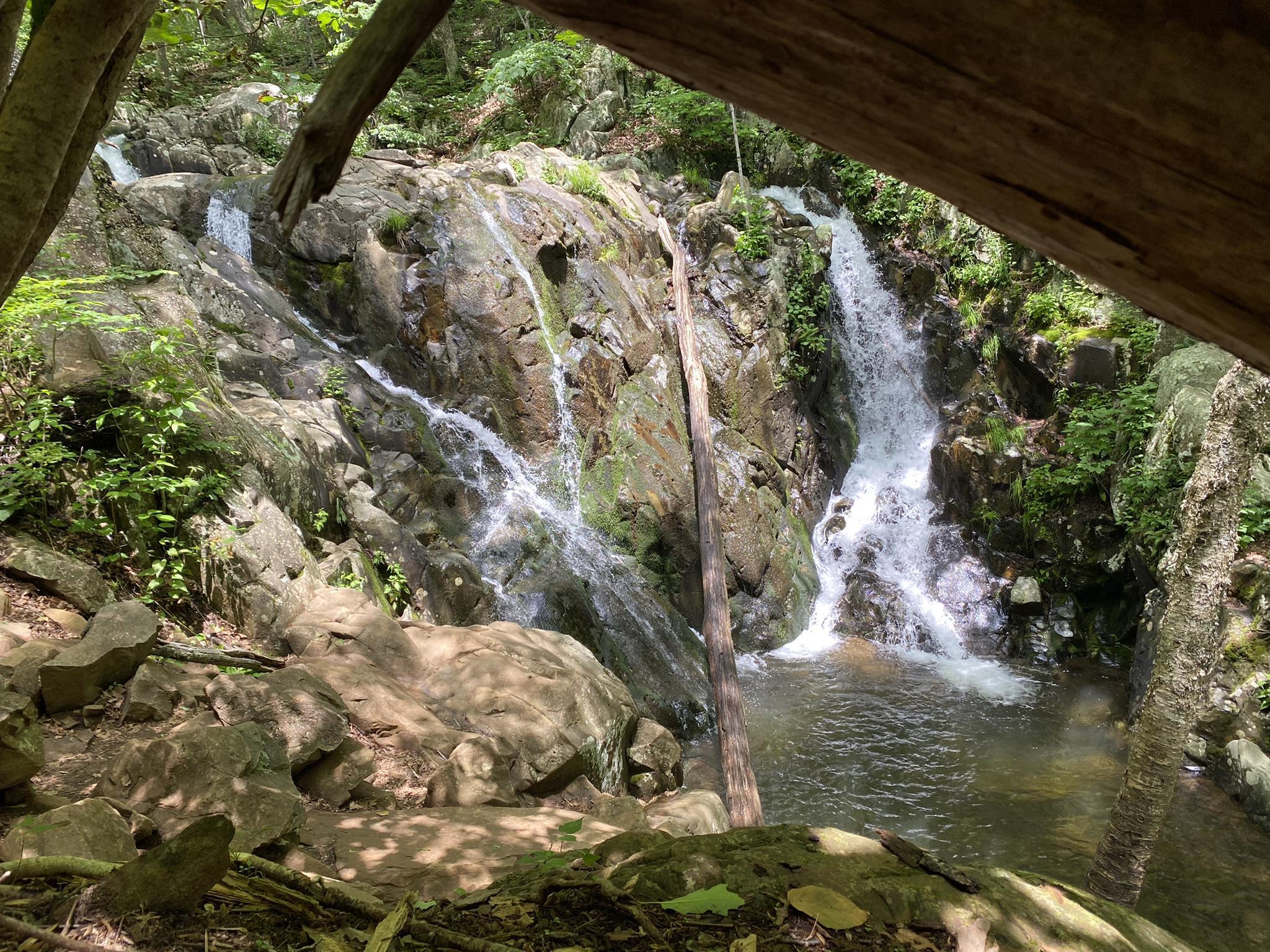 Multiple waterfalls cascade over mossy rocks into a clear pool, framed by trees.
