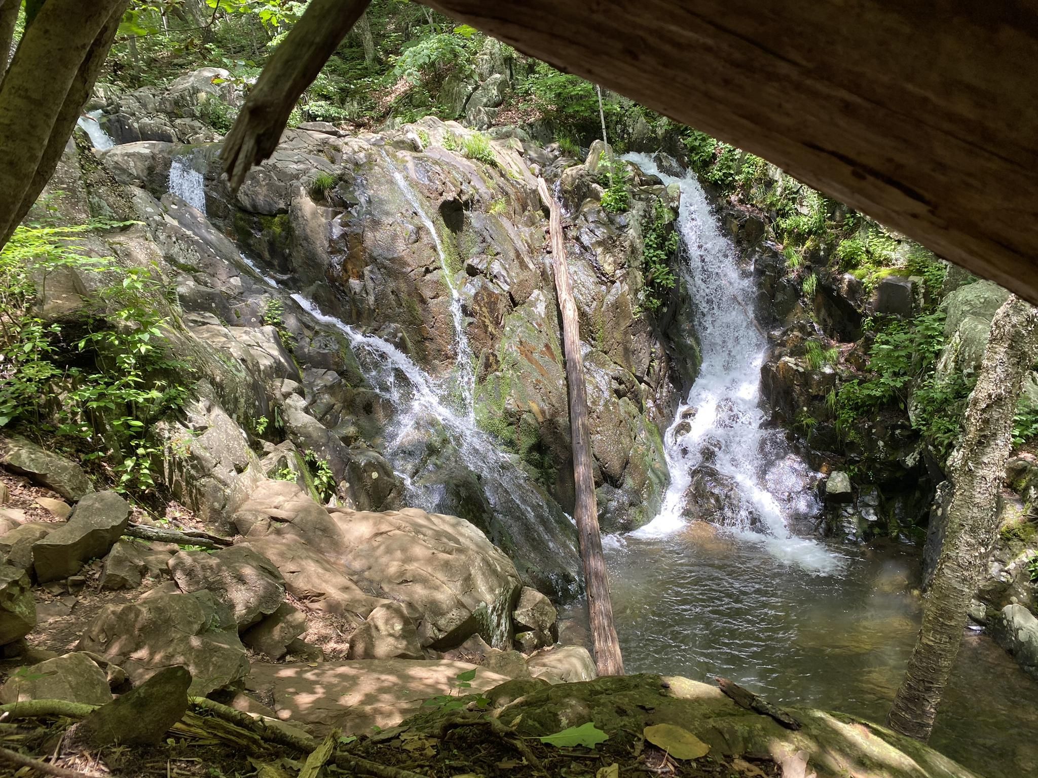 Multiple waterfalls cascade over mossy rocks into a clear pool, framed by trees. - Rose River Loop Trail