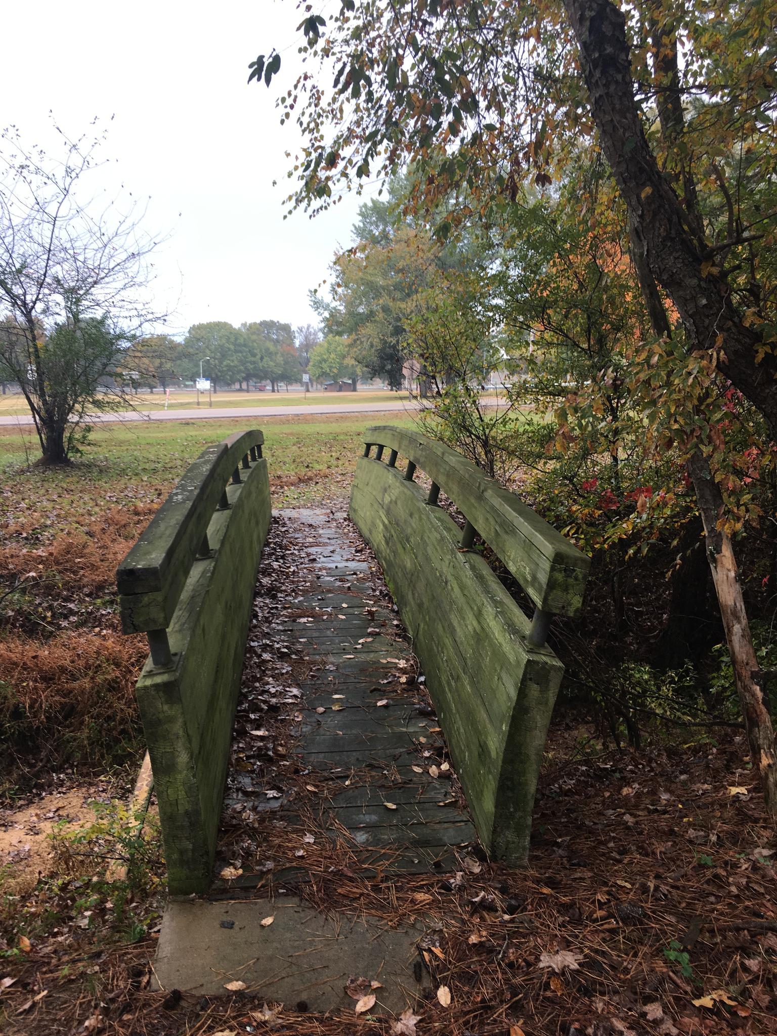 A weathered wooden footbridge covered in leaves, leading through an autumnal landscape under an overcast sky.