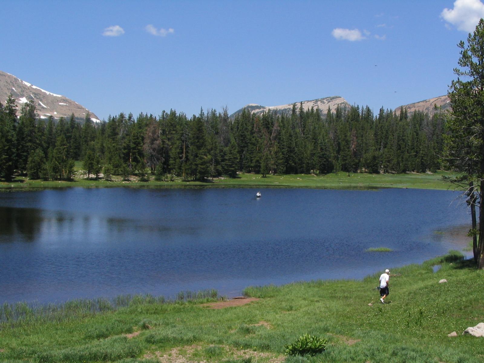 A person stands on a grassy lake shore with forests and mountains under a blue sky.