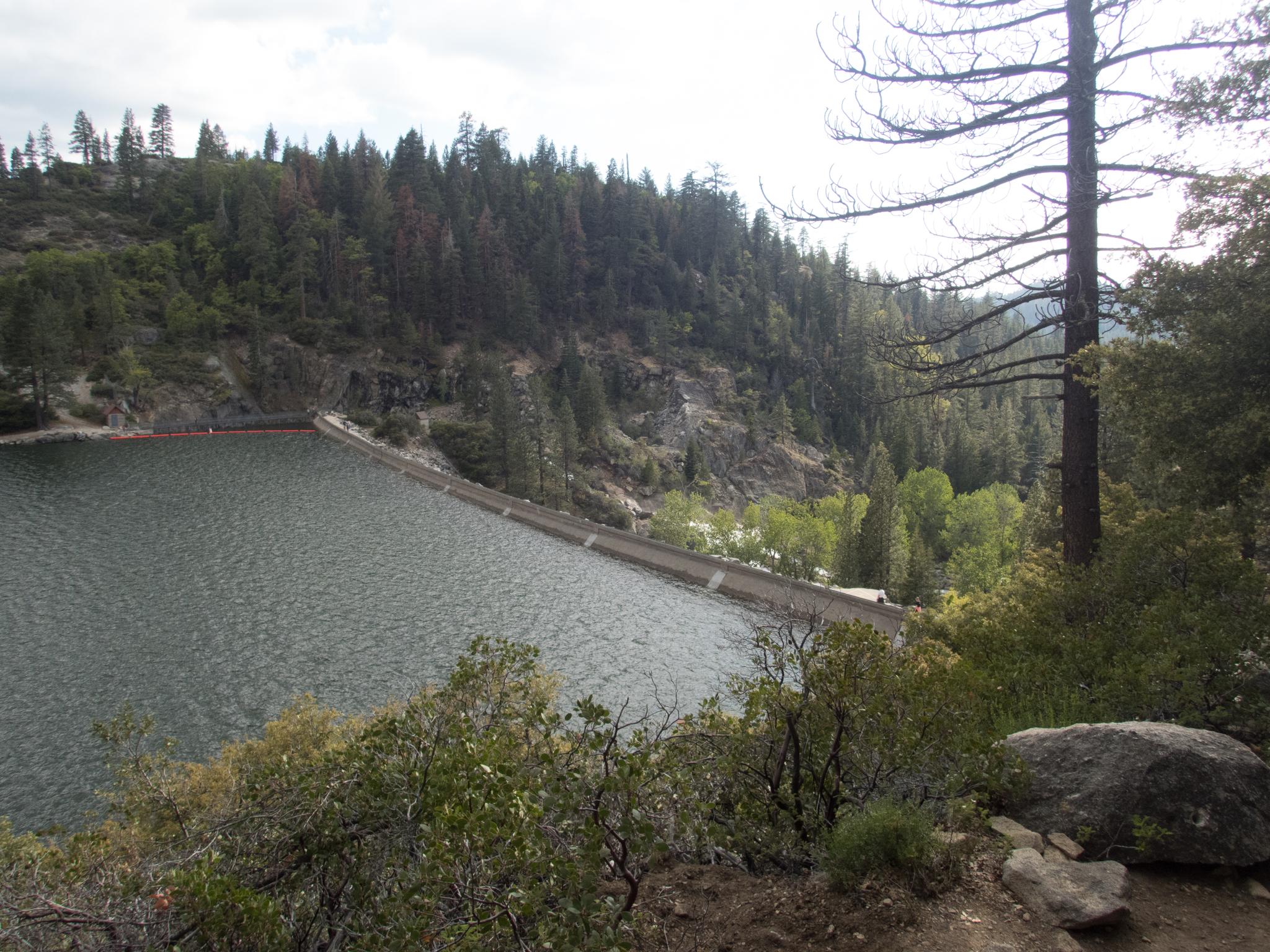Lake next to a concrete dam, surrounded by dense green forest.