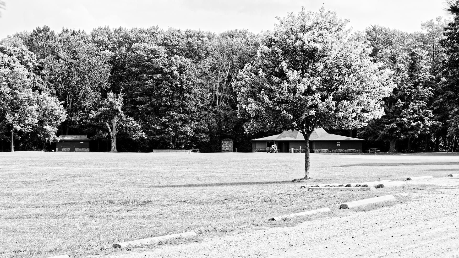 Black and white photo of a sunny field, dense forest, and buildings.