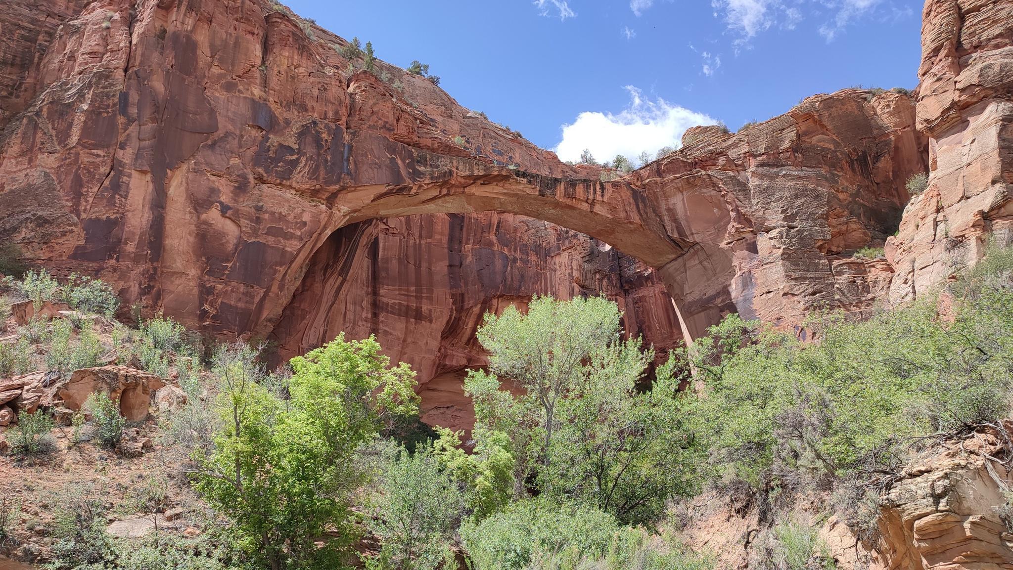 Large natural rock bridge spanning a canyon, with green foliage below.
