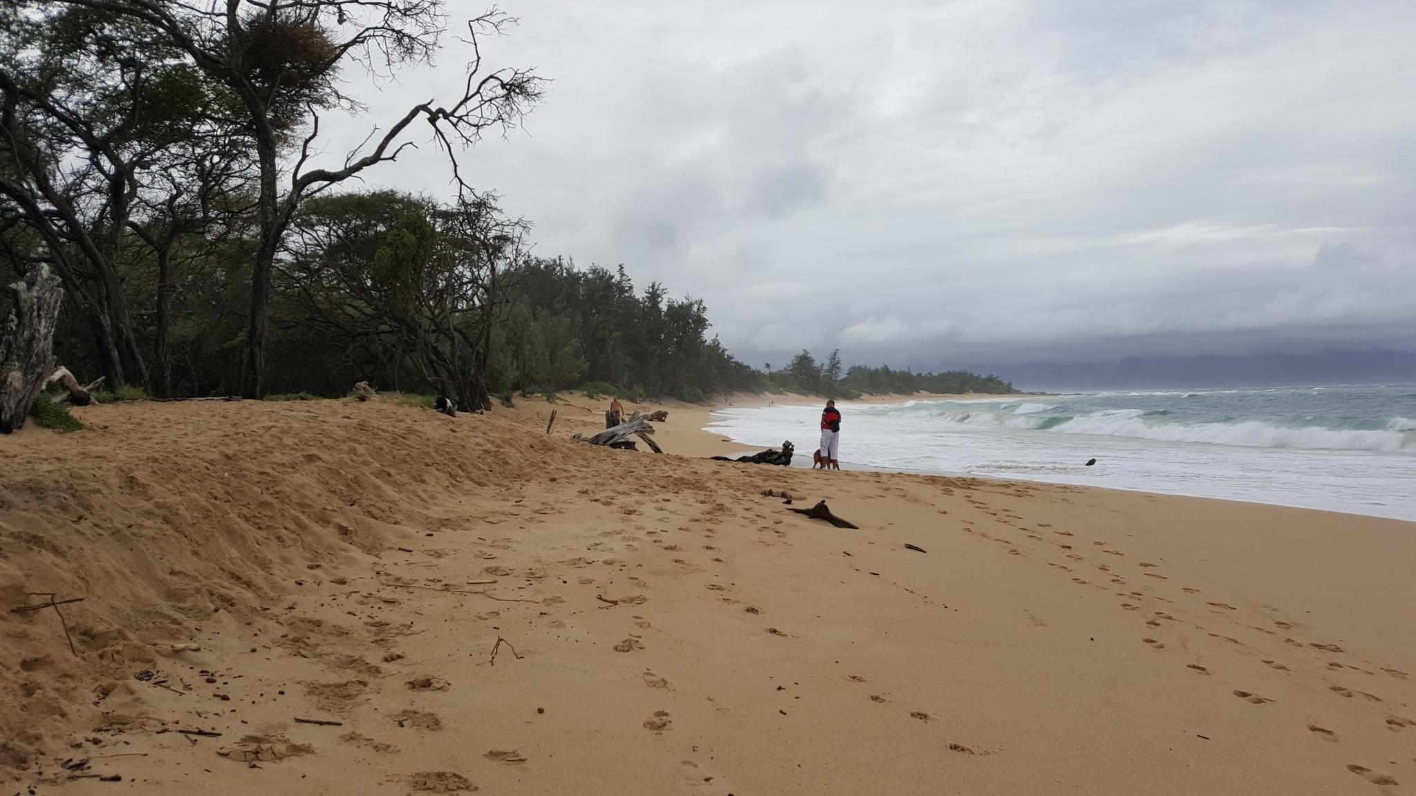 People walk and relax on a sandy beach with ocean waves under an overcast sky. - North Shore Greenway