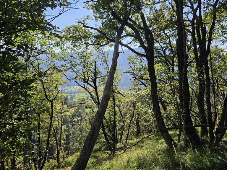 Dindol Viewpoint: Wanderungen und Rundwege | komoot