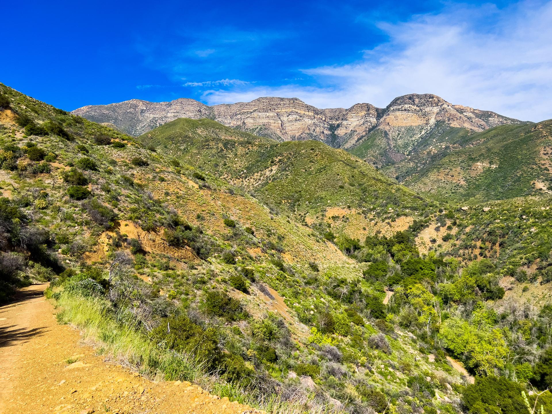 A sunny dirt path winds through green hills towards distant mountains.