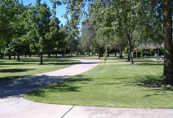 Sunny park with a winding paved path through green grass and tall trees.