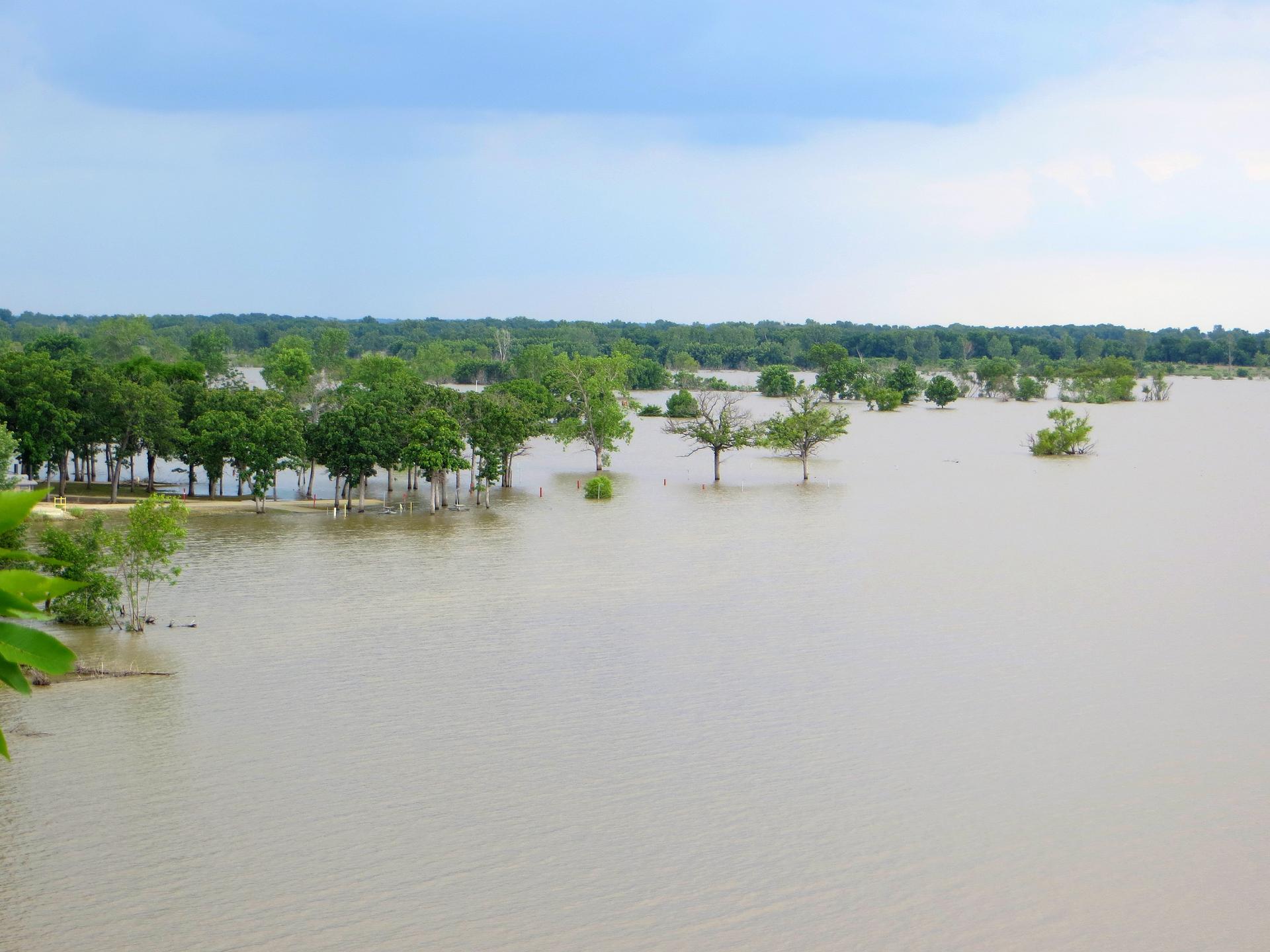 Wide view of a flooded landscape with trees partially submerged in murky water.