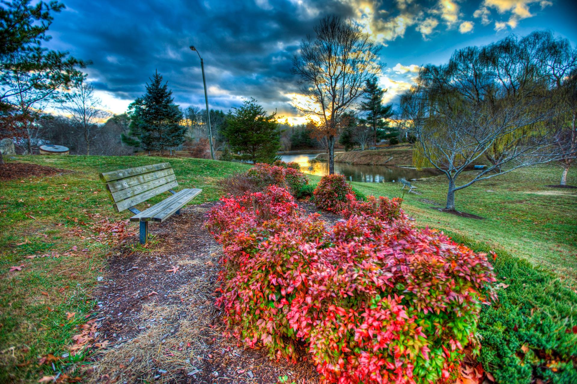 A wooden bench next to vibrant red bushes by a pond under a dramatic sky.