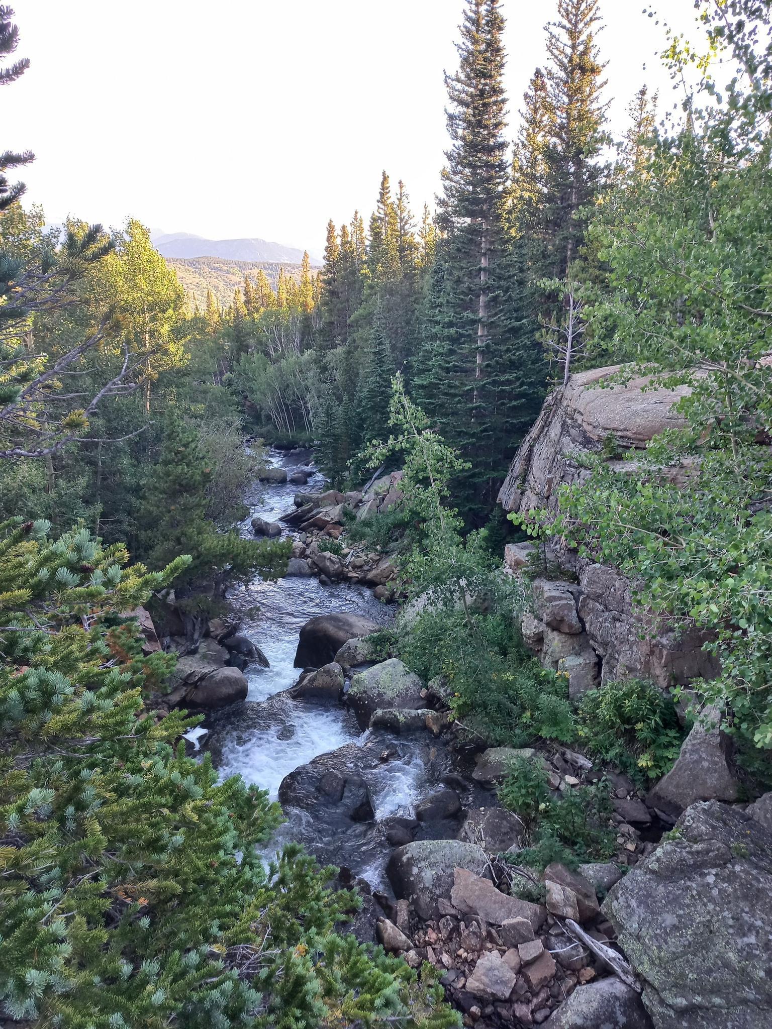 Rocky river flowing through a dense forest with sunlight on distant hills.