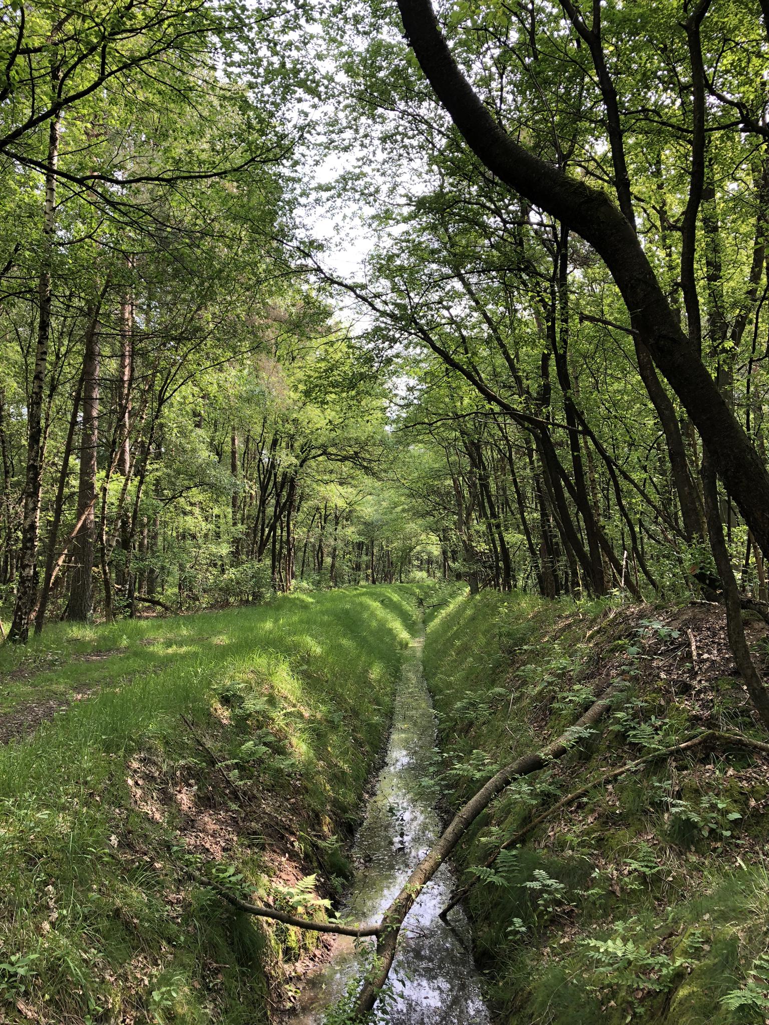 Landgoed De Reeberg Wandelroutes En Hikes | Komoot