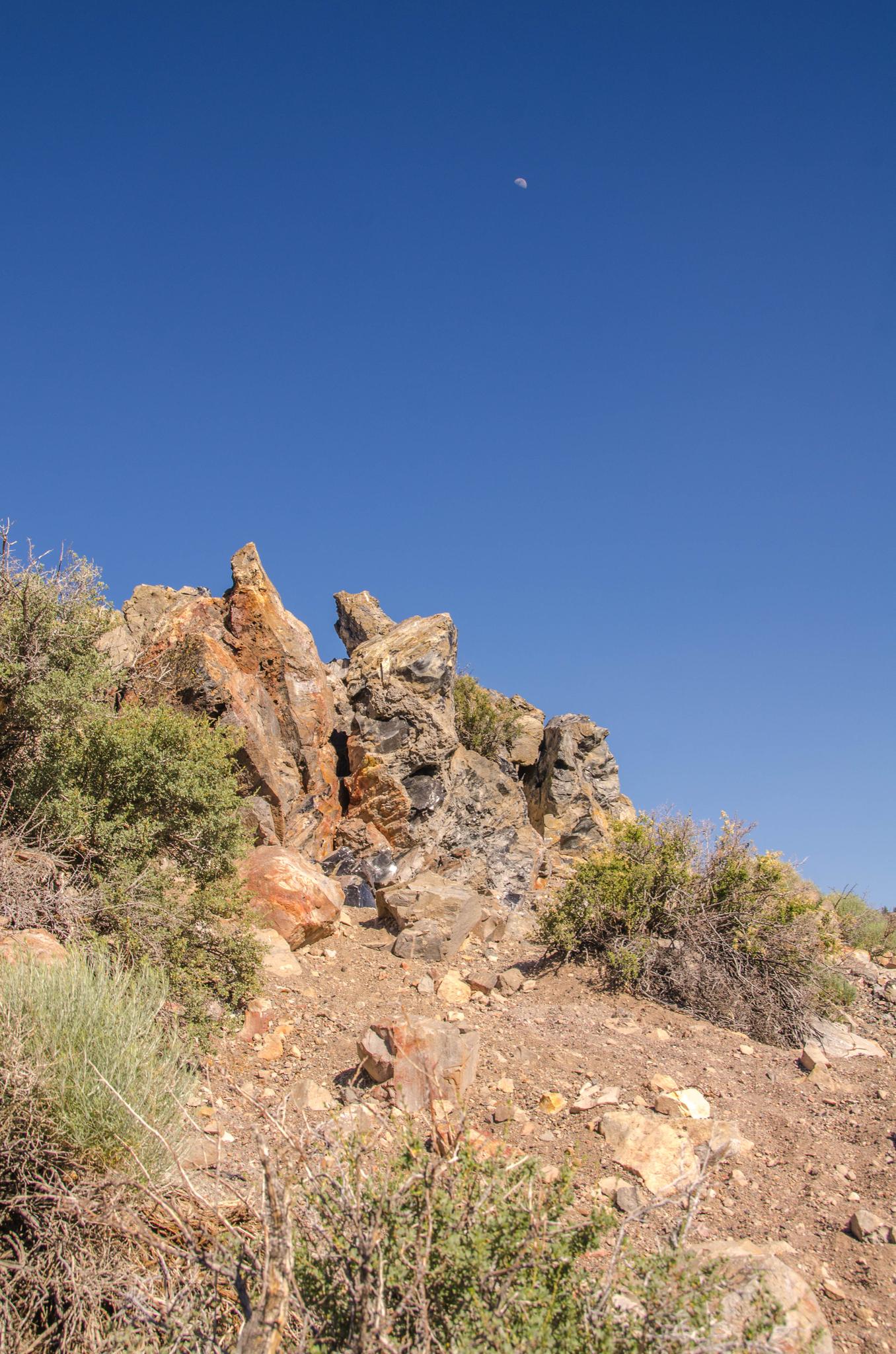 Rocky hillside with sparse bushes under a clear blue sky, with a visible moon.