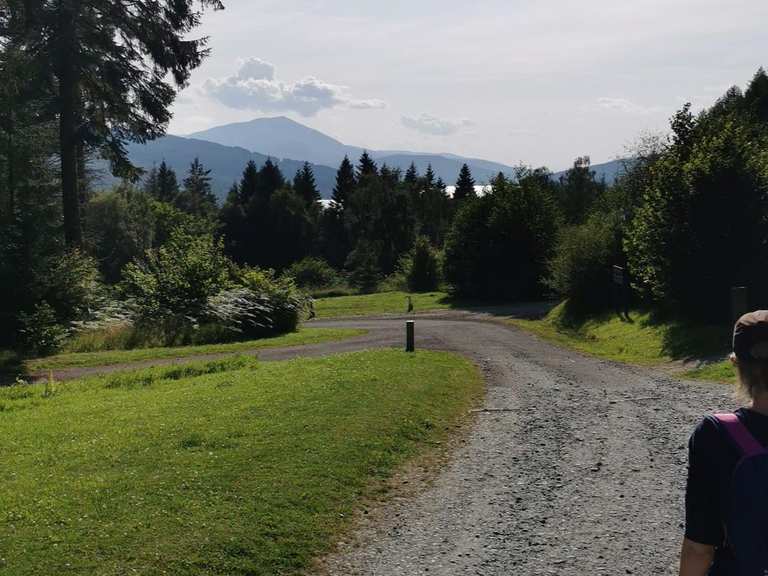 Allean Forest walking routes: Wanderungen und Rundwege | komoot