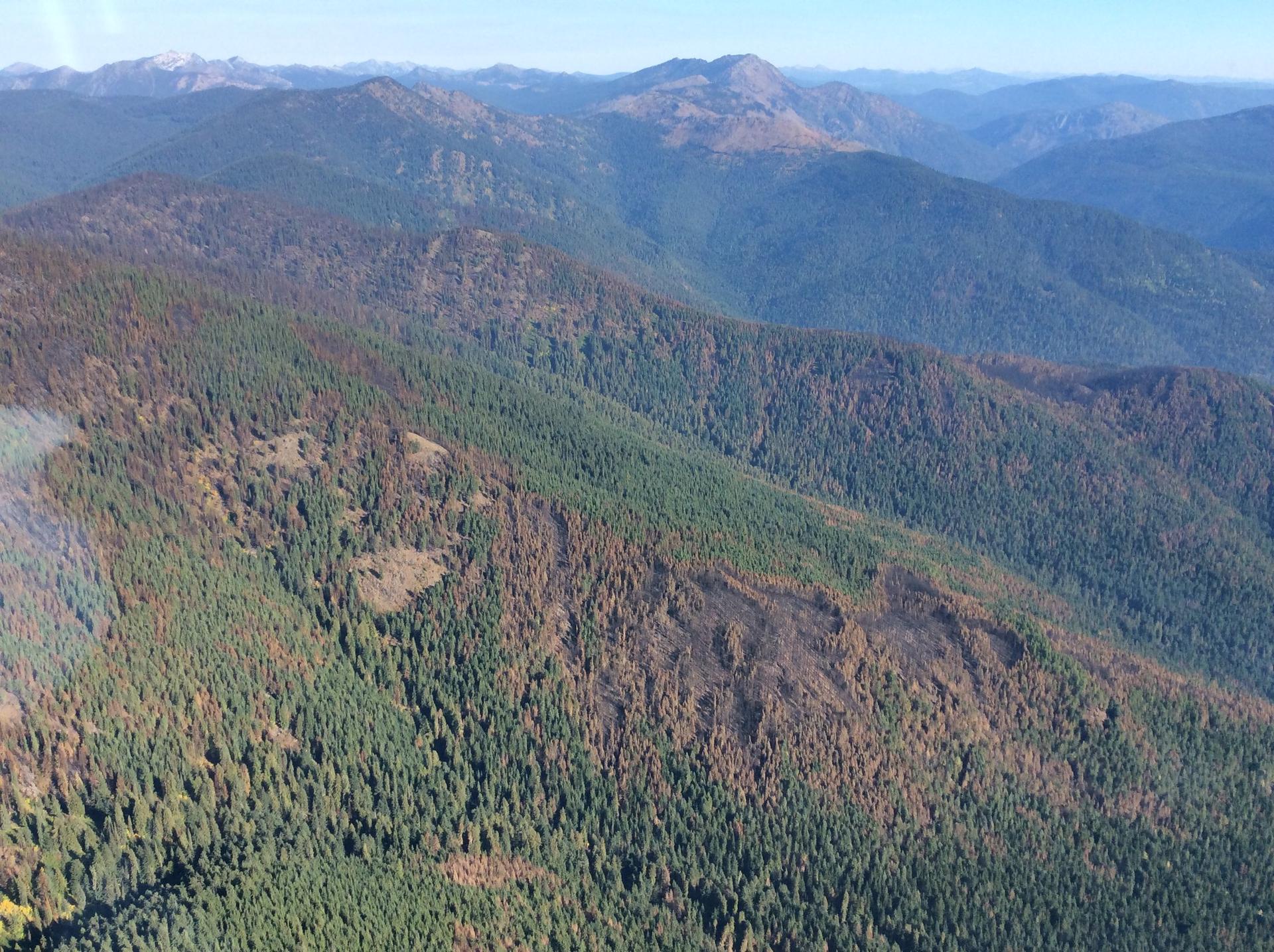Aerial view of forested mountains showing areas of green and burnt trees under clear skies.