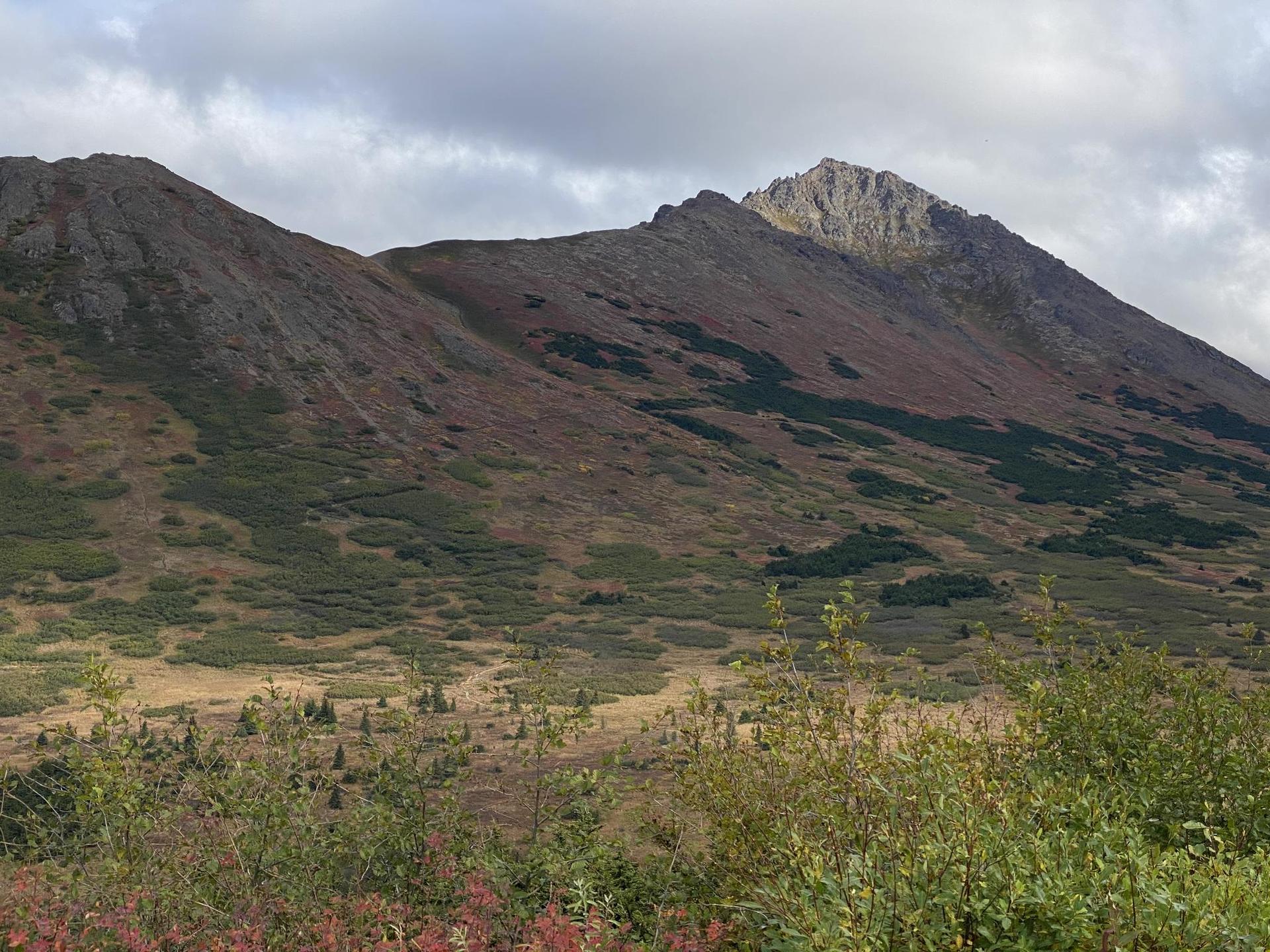 Overcast sky above mountains with green and reddish autumn vegetation.