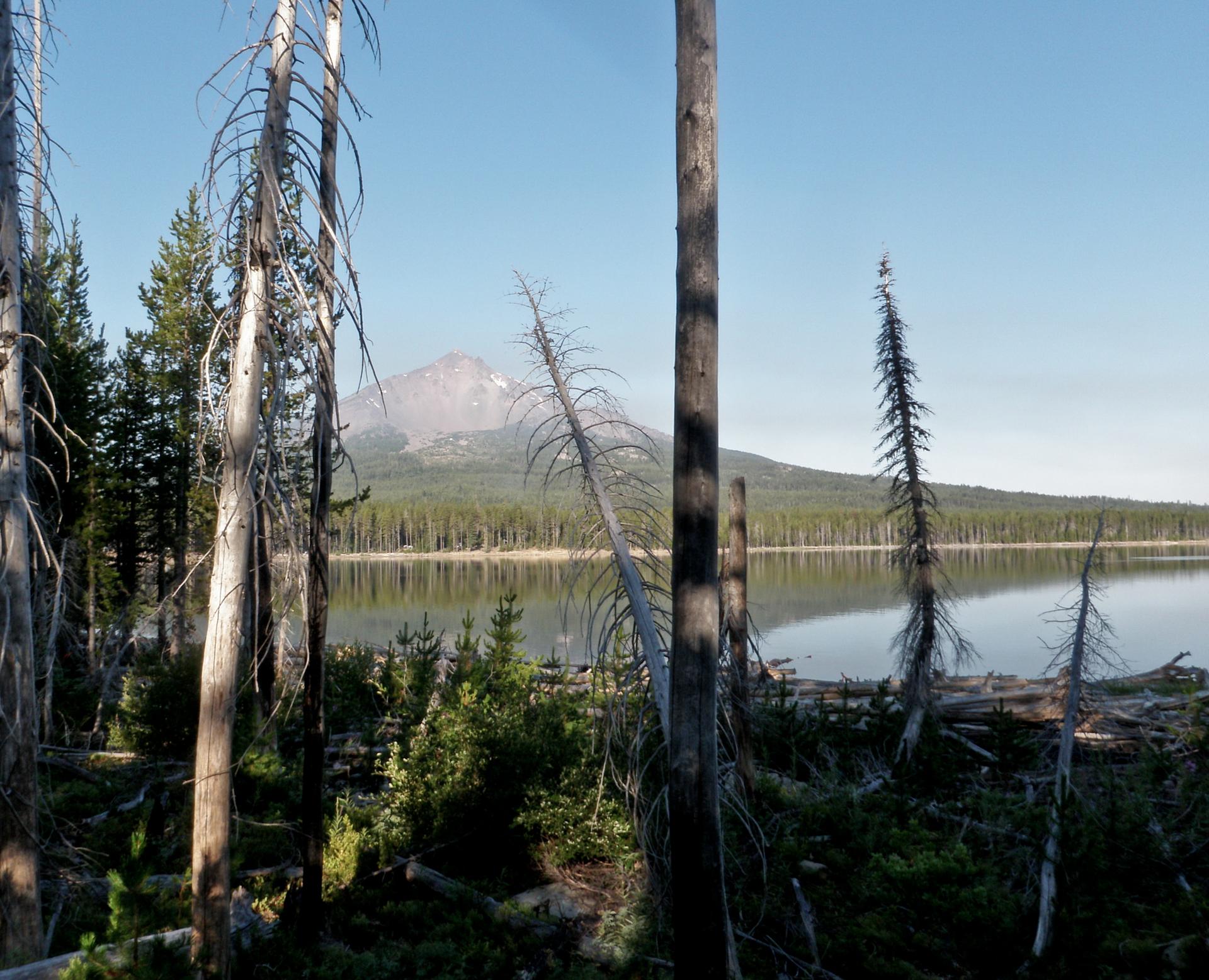 A serene lake reflecting a distant mountain, framed by tall trees.