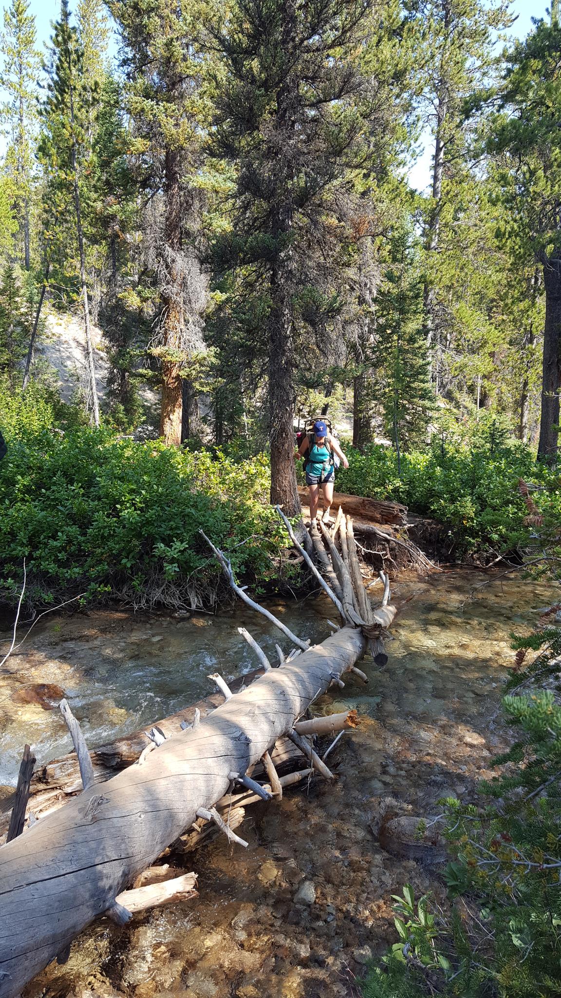 Hiker with backpack crosses a log bridge over a stream in a forest.