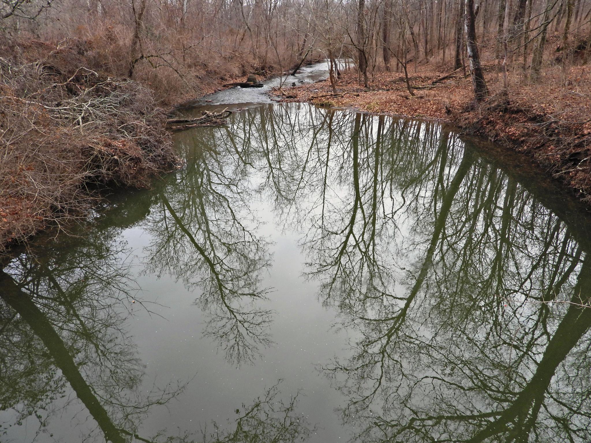 Calm river flowing through a bare winter forest, with tree reflections on the water.