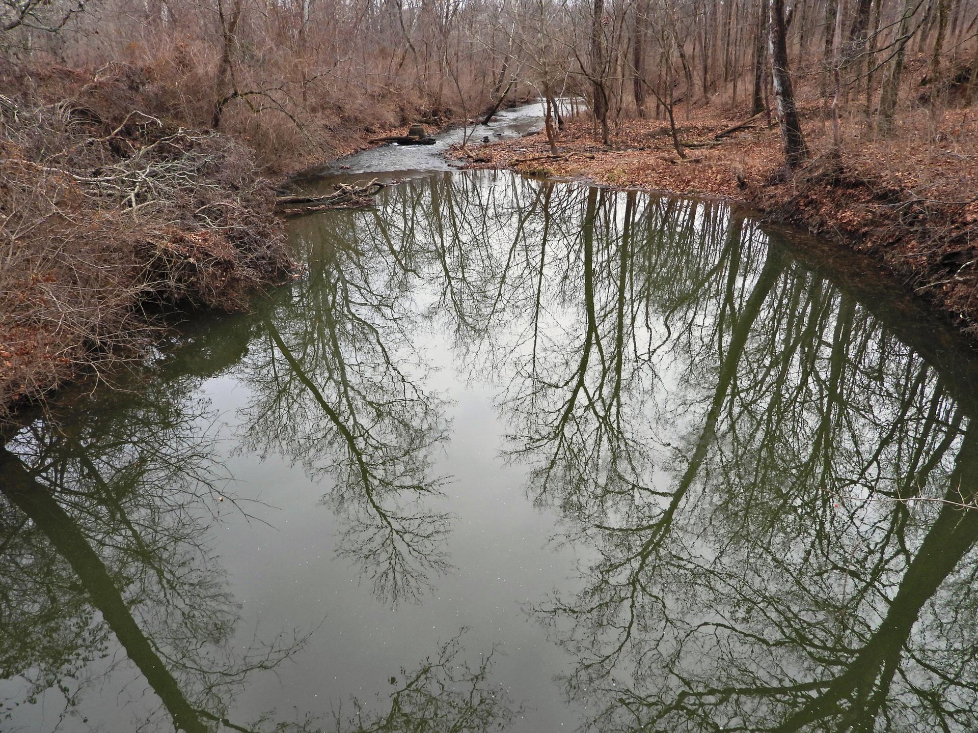 Calm river flowing through a bare winter forest, with tree reflections on the water.