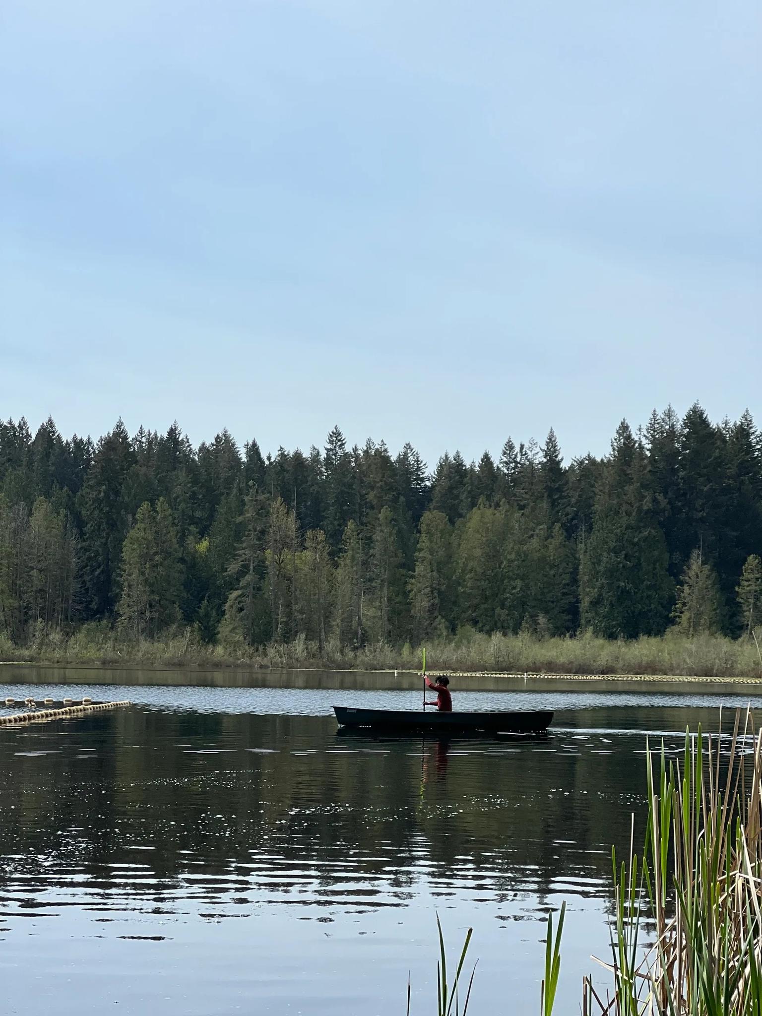 A person paddles a canoe on a calm lake, surrounded by forest.