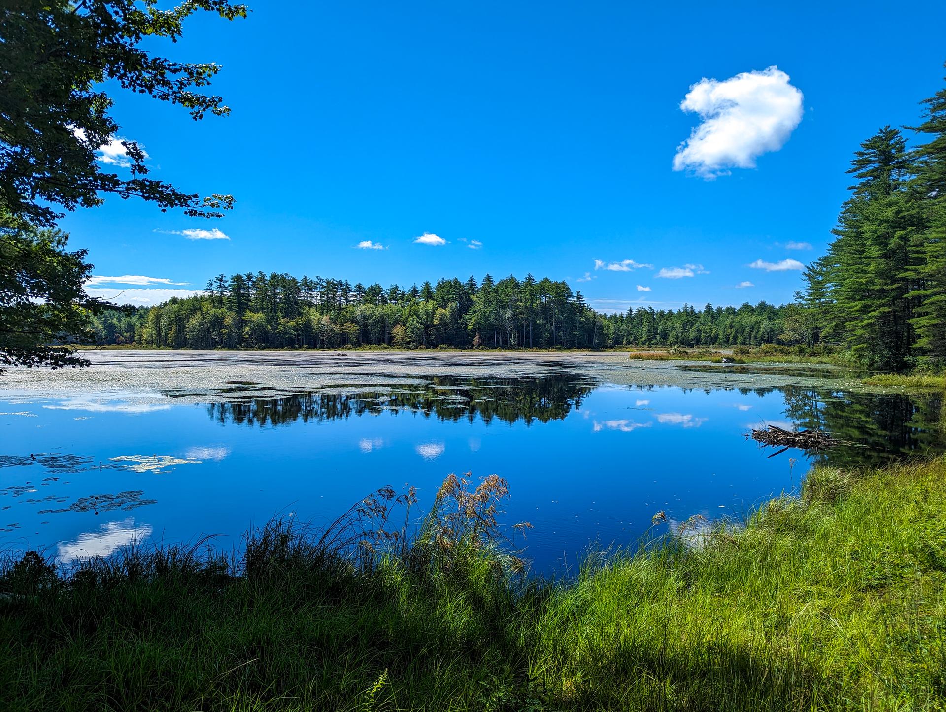 A serene lake reflects a bright blue sky with clouds, surrounded by green forest.