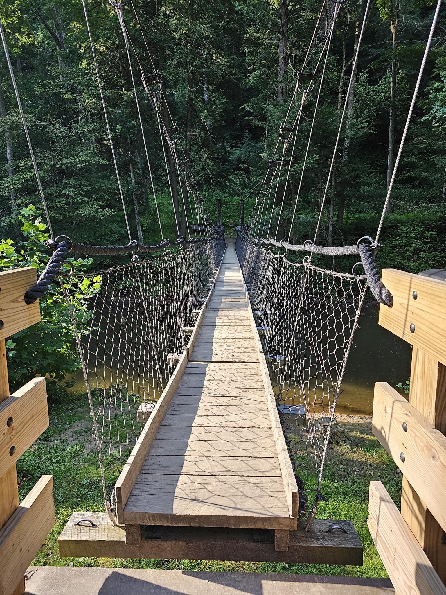 A long wooden suspension bridge extends into a green forest.