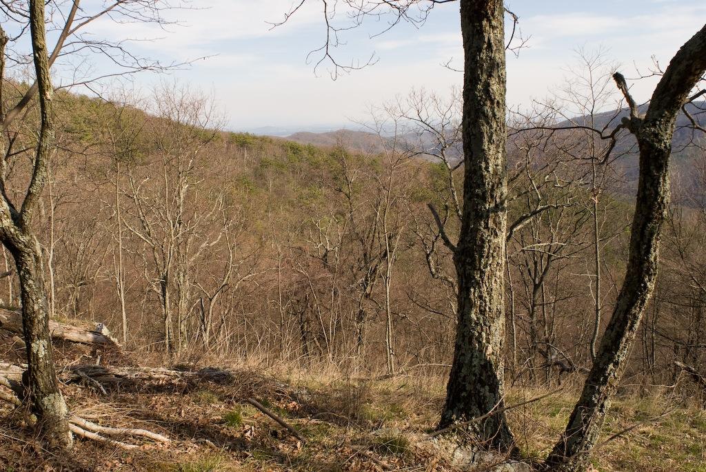 Bare trees and dry grass on a hillside overlooking distant mountains under a bright sky.