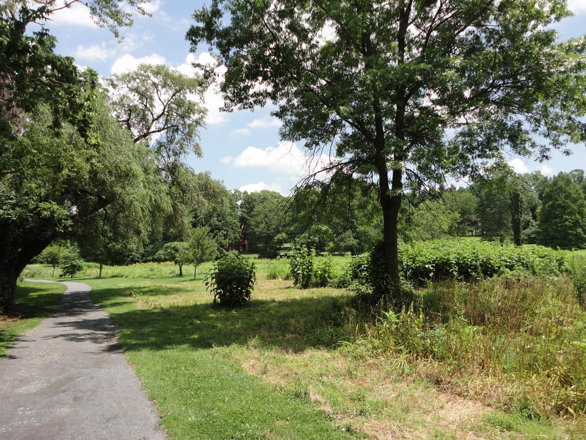 A paved path winds through a sunny, grassy field with scattered trees.