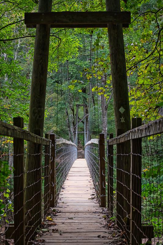A long wooden suspension bridge extends into a dense green forest.