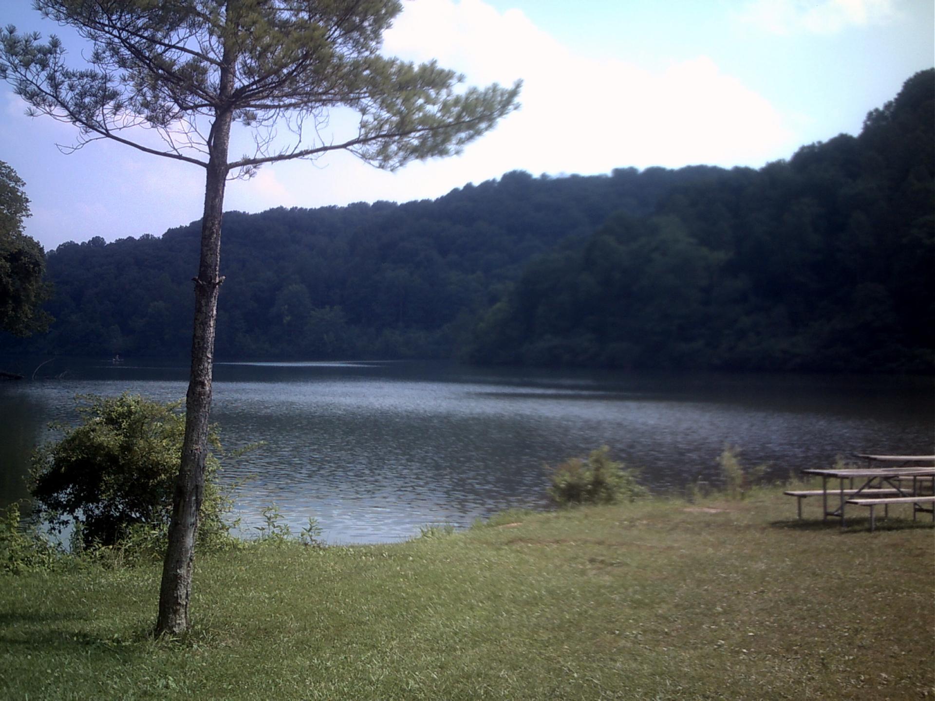 Tall tree and picnic tables by a lake with forested hills under bright sky.