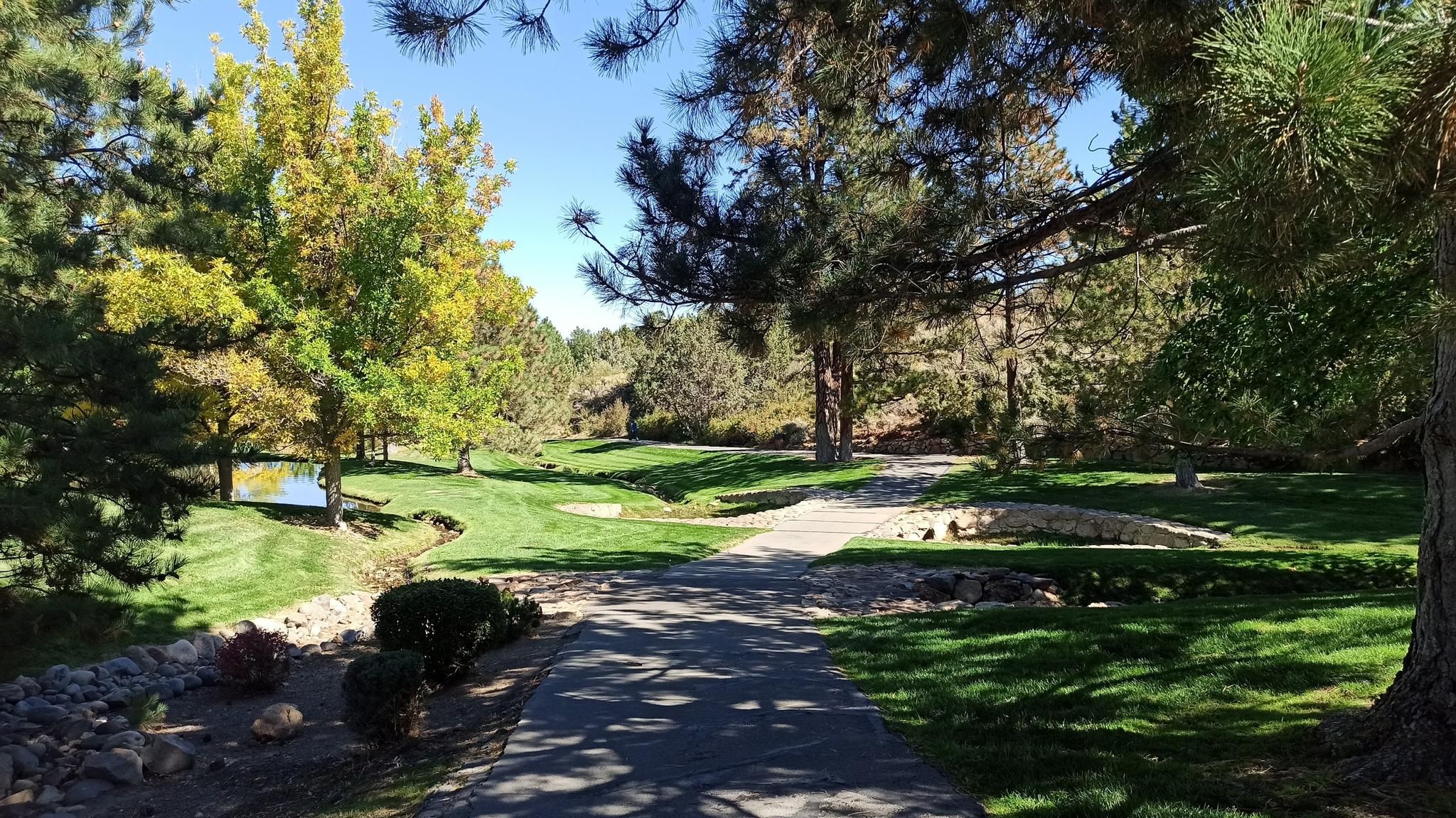 Shaded paved path through a lush green park with trees and water. - Caughlin Ranch loop from Caughlin Ranch
