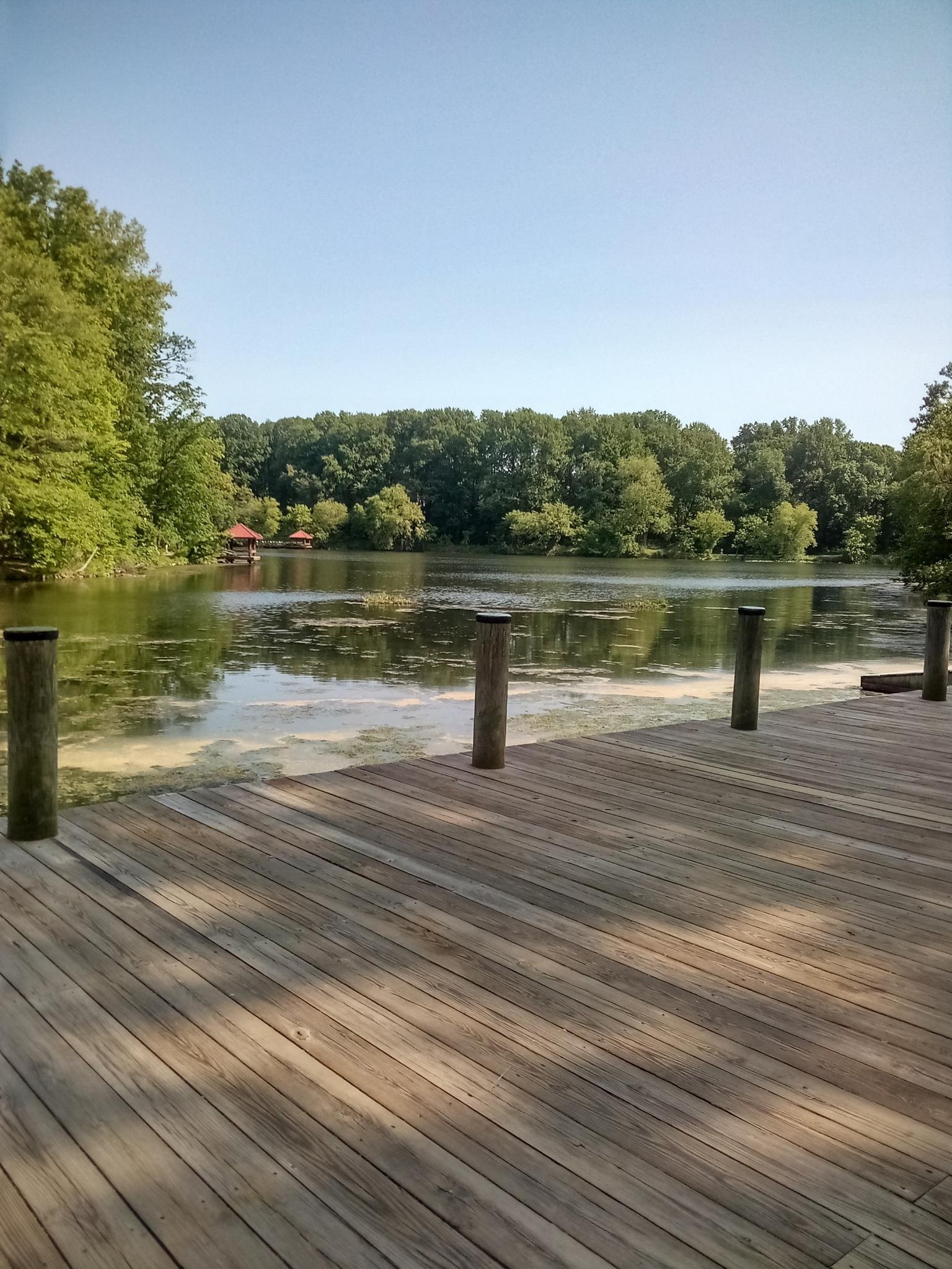 Wooden dock extends into a calm lake surrounded by green trees under clear sky.