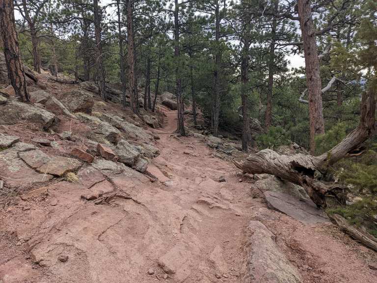 Lion's Lair Trail Pine Brook Hill, Boulder County LaufHighlight