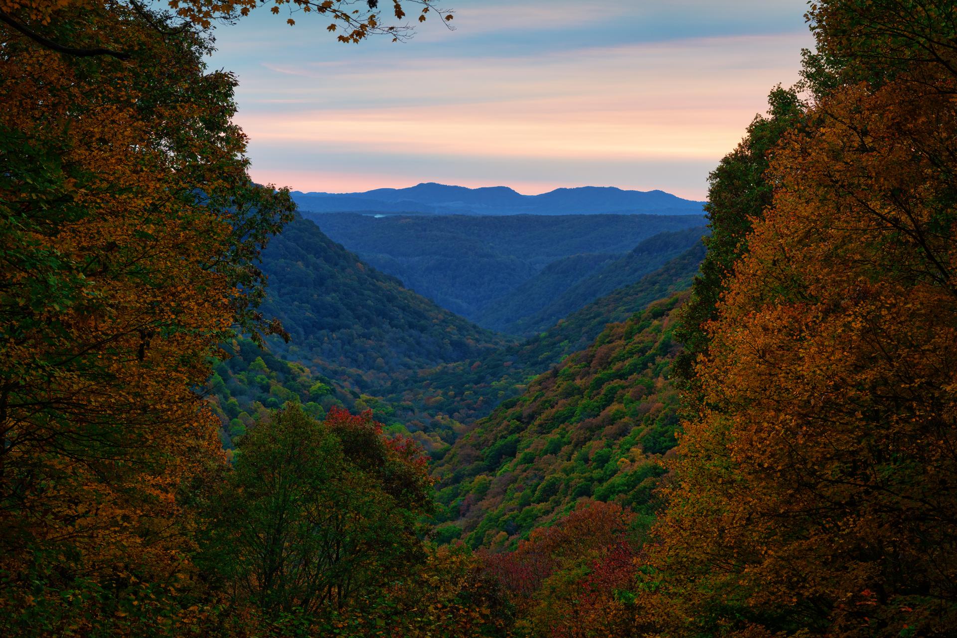 Vast forested valley framed by autumn trees under a colorful sky.
