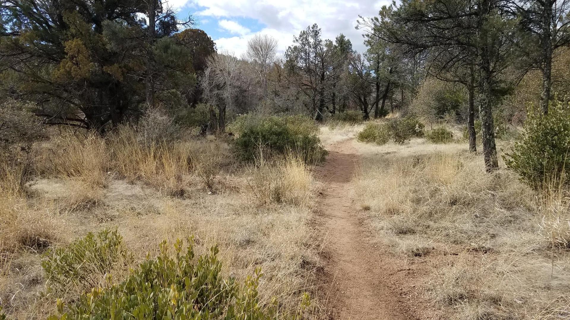 A dirt path through dry grass and trees under a cloudy sky.