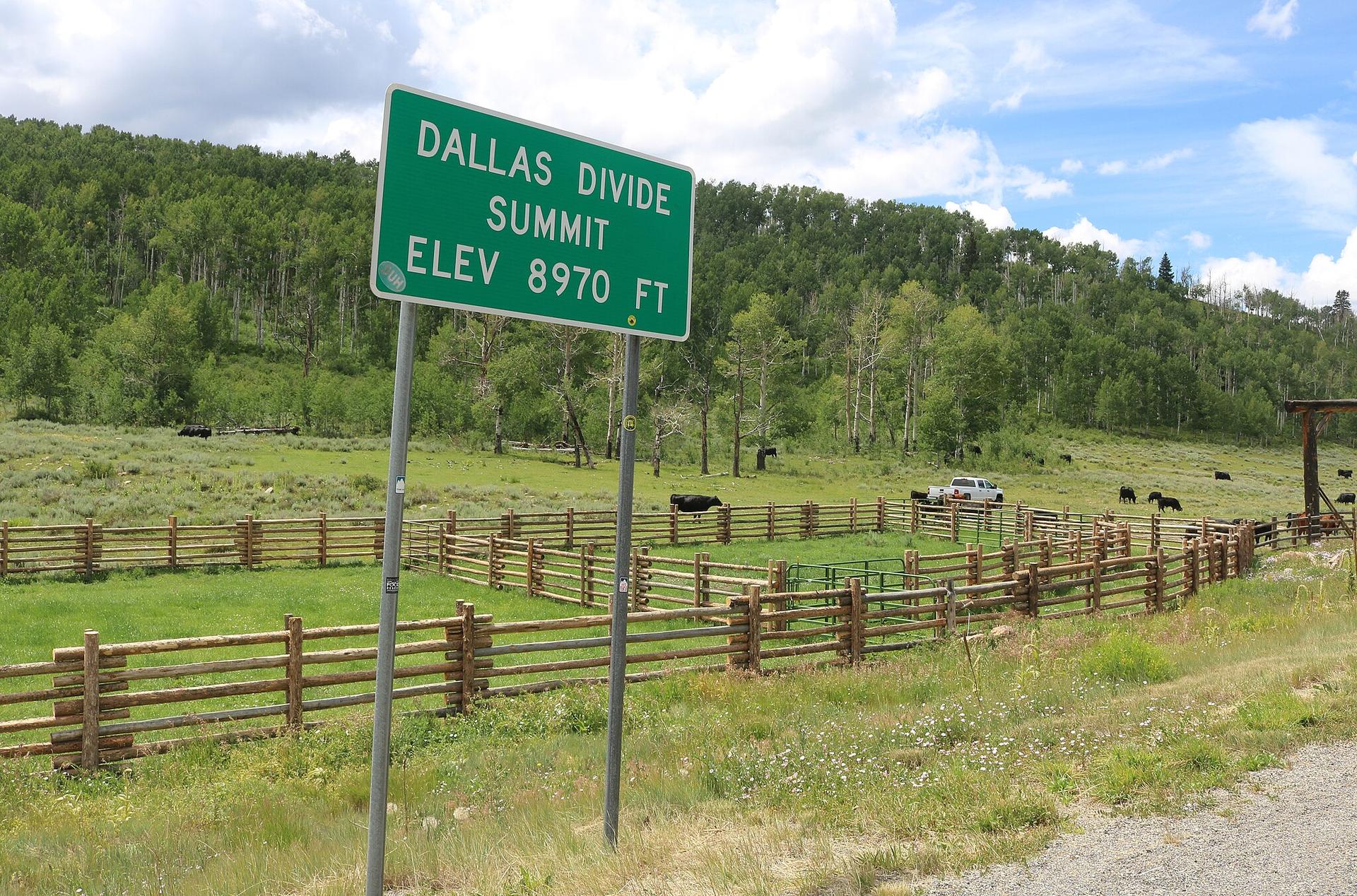Green road sign overlooking a fenced pasture with grazing cattle and forested hills.