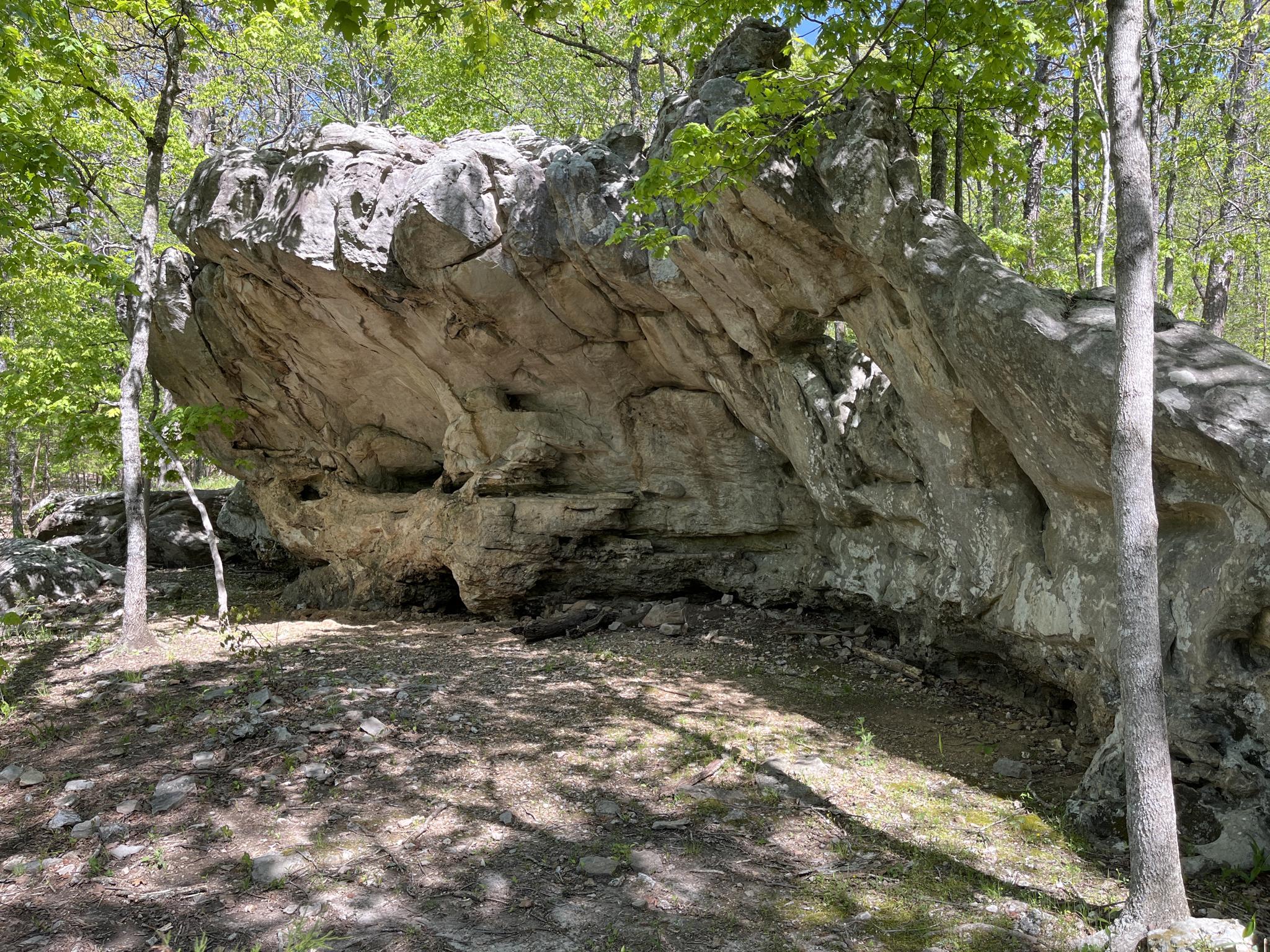 A large, gray rock overhang provides shelter in a sunlit, green forest.