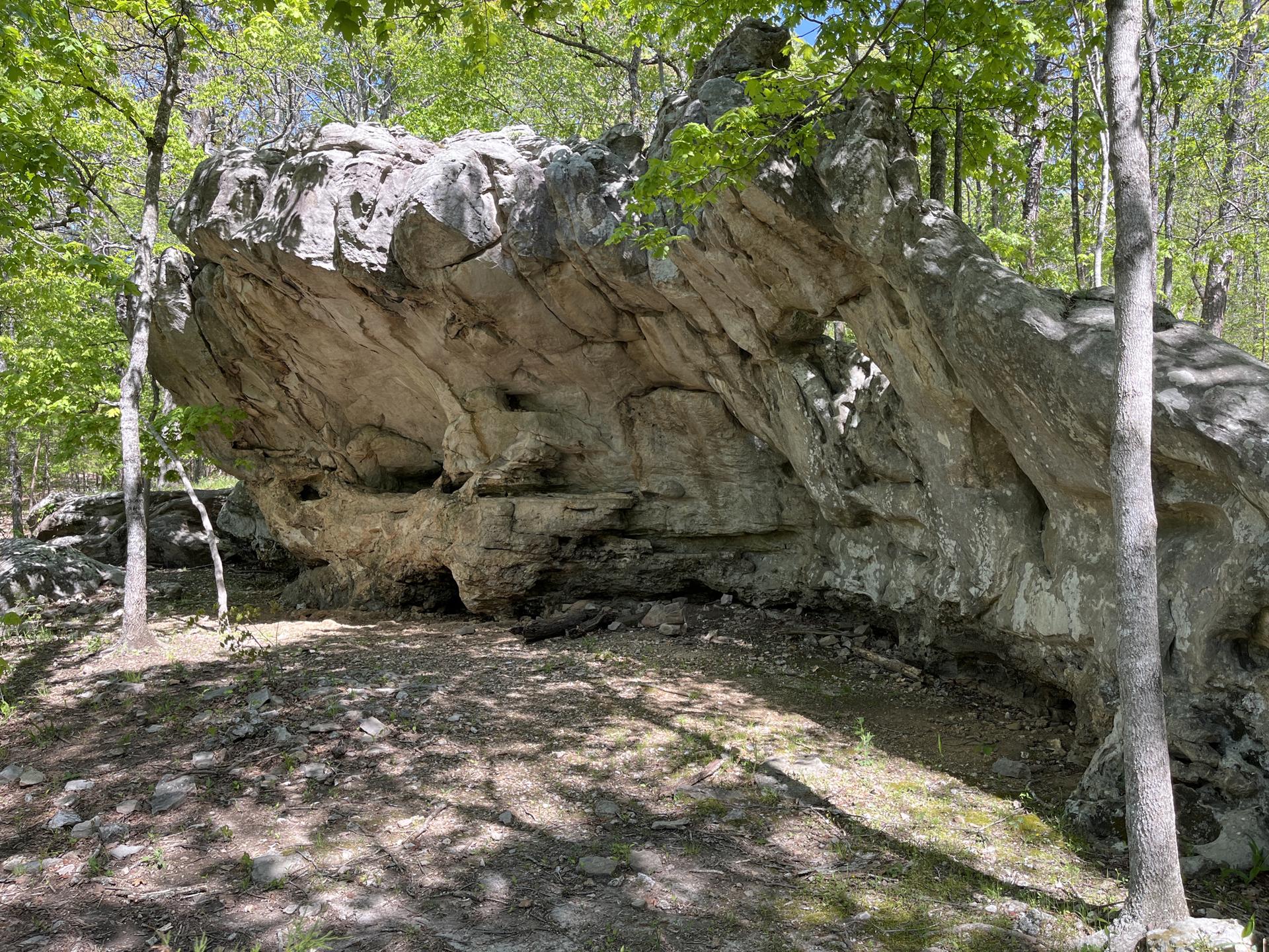 A large, gray rock overhang provides shelter in a sunlit, green forest.