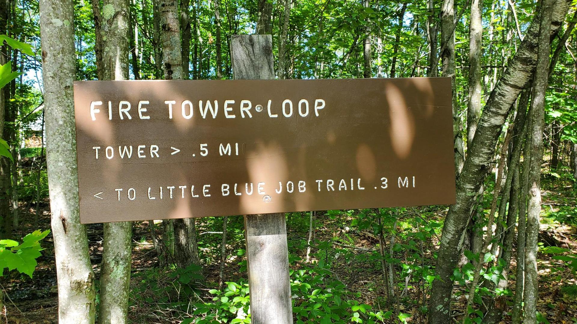 A brown trail sign with white text in a sunny, dense green forest.