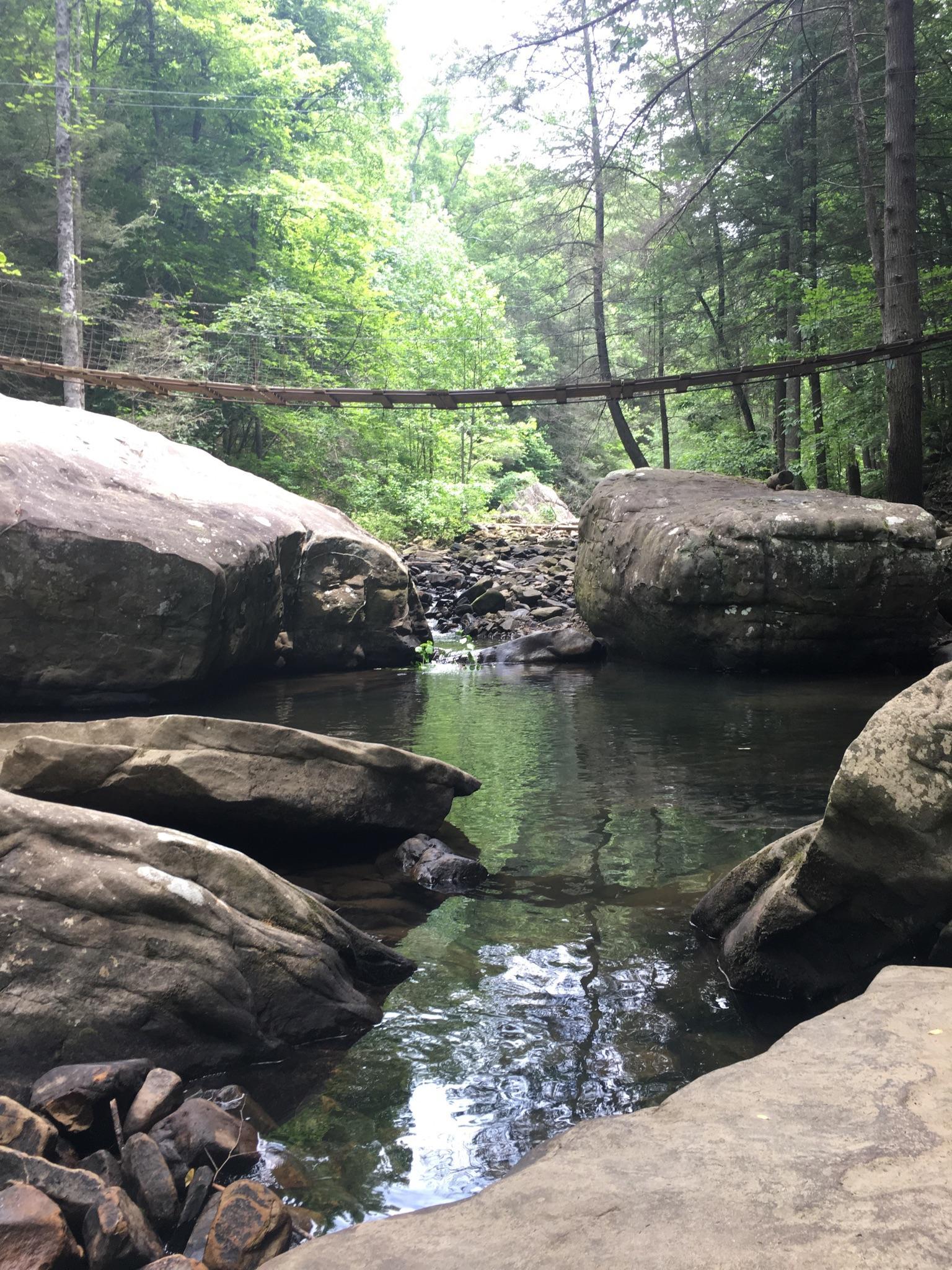 Rocky stream flowing through a lush forest with a wooden bridge overhead.